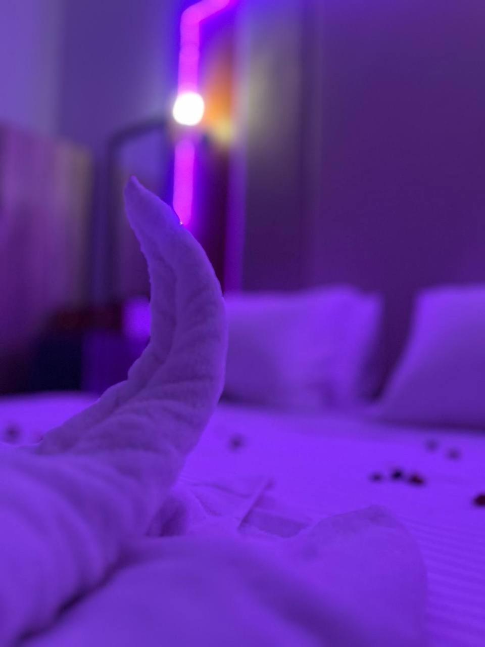 Future Hostel カイロ エクステリア 写真
